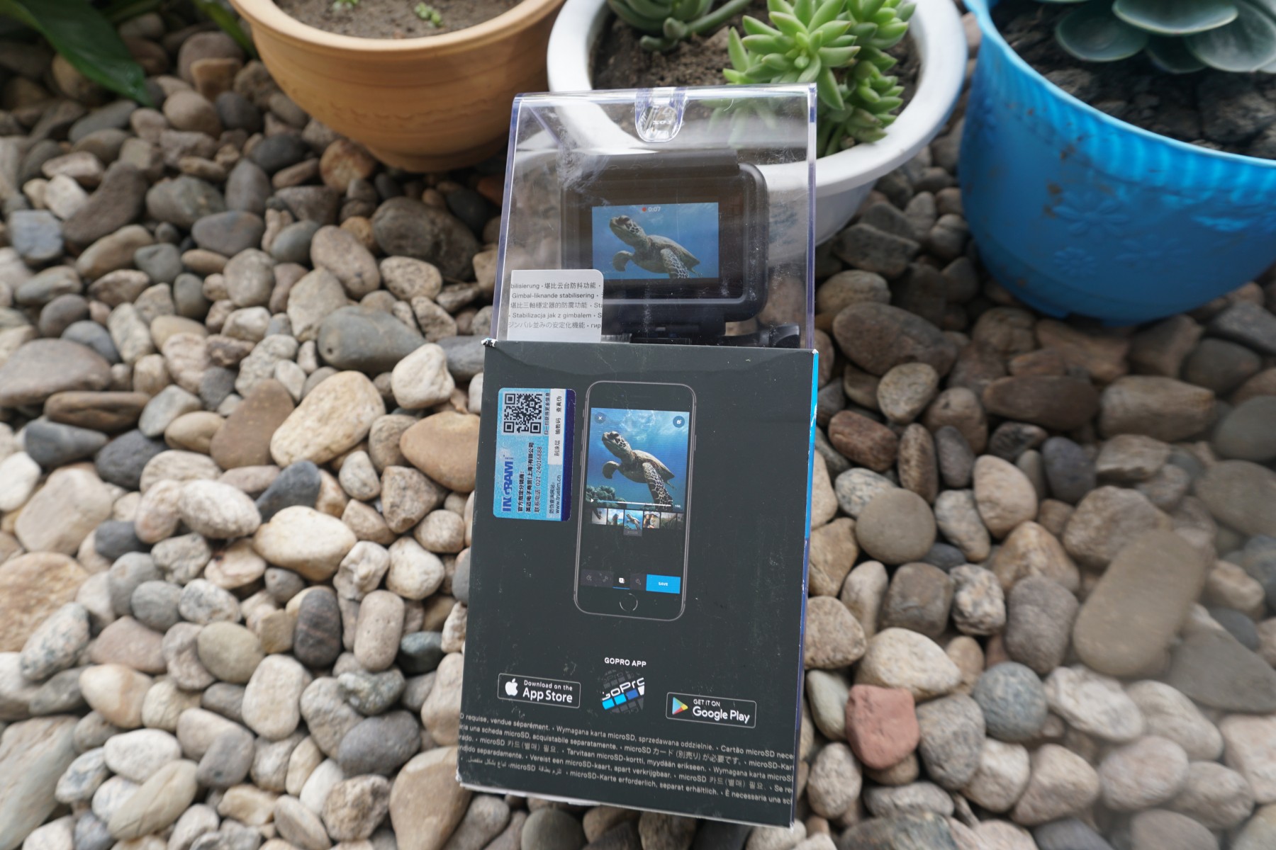 DSC01123.JPG